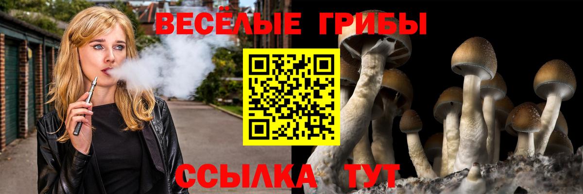 Галлюциногенные грибы ЛСД Алексин